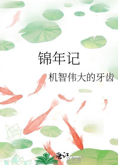锦年记
