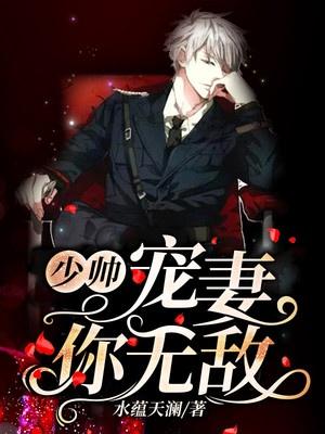 少帅,宠妻你无敌!