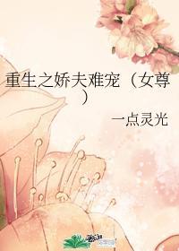 重生之娇夫难宠(女尊)