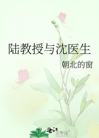 陆教授与沈医生