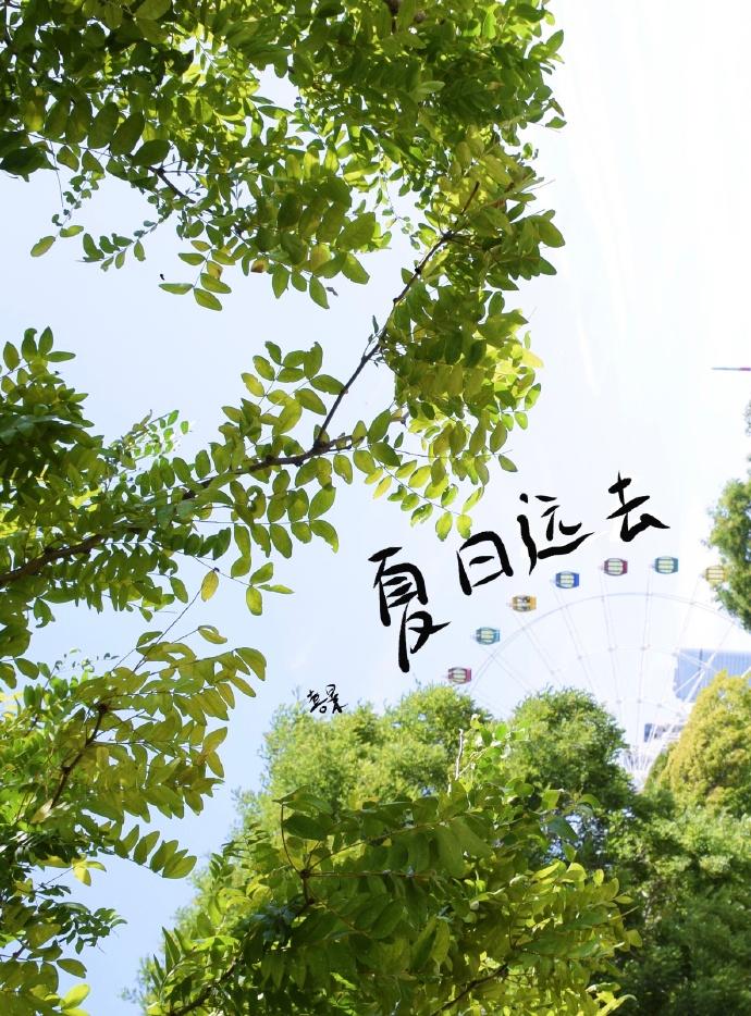 夏日远去