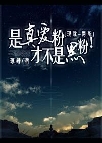 是真爱粉才不是黑粉!