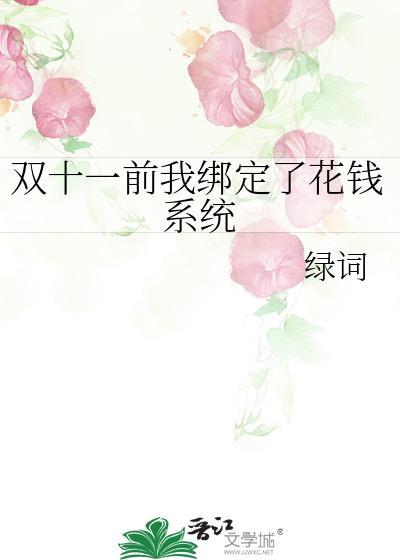 双十一前我绑定了花钱系统