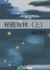 秘殿珠林(上)