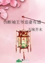 伪断袖王爷追妻有道