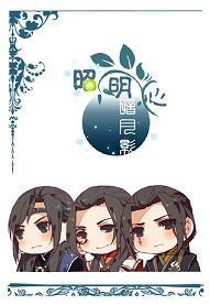 昭明心,暗月影