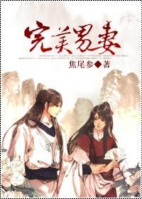完美男妻