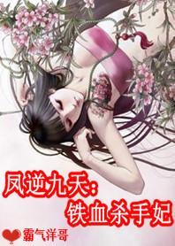 凤逆九天:铁血杀手妃