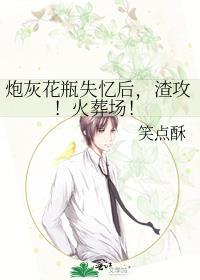 炮灰花瓶失忆后，渣攻！火葬场