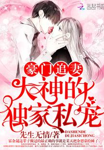 豪门追妻:大神的独家私宠