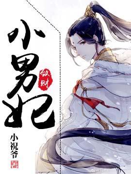 敛财小男妃