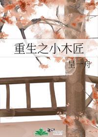 重生之小木匠
