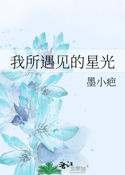 我所遇见的星光