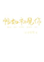 恰如初见你