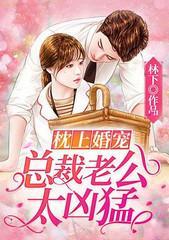 枕上婚宠:总裁老公太凶猛
