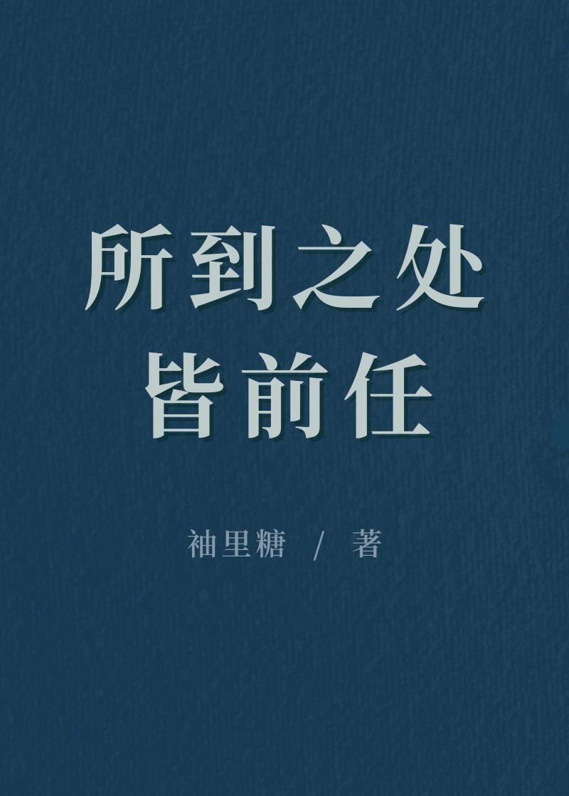 所到之处皆前任