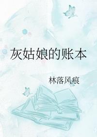 灰姑娘的账本