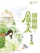 总裁大人,别傲娇!