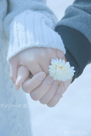 雏菊不语