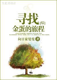 寻找金蛋的旅程
