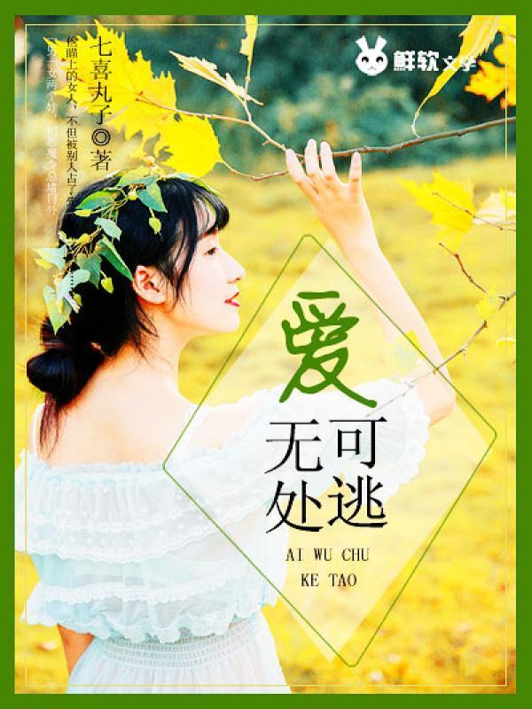 极品辣妈好V5
