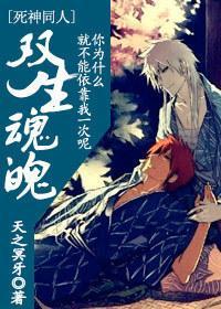 双生魂魄 cp:白黑一护