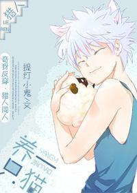 养一只猫