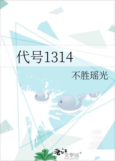 代号1314