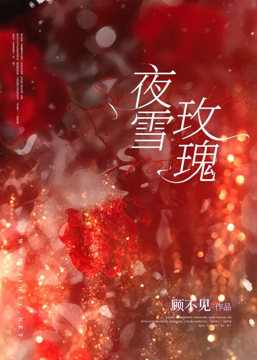 夜雪玫瑰