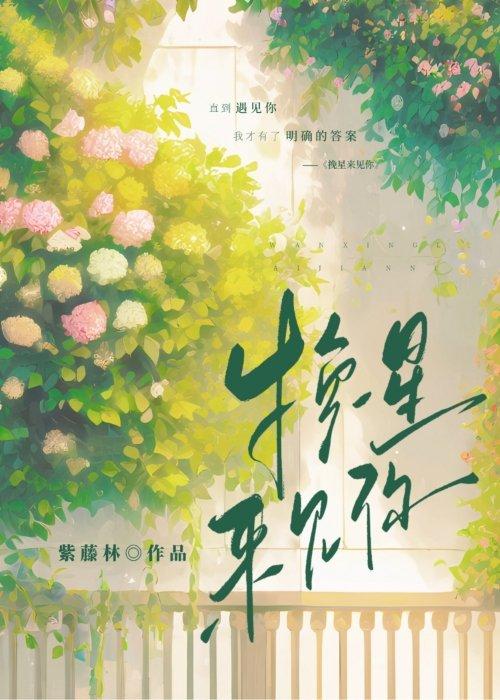 挽星来见你