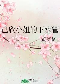 己欣小姐的下水管