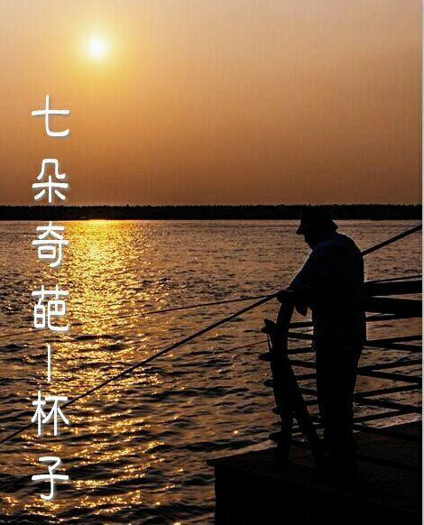 七朵奇葩