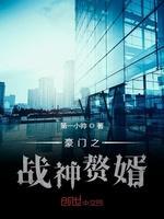 豪门之战神赘婿