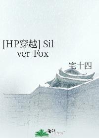 [HP穿越] Silver Fox