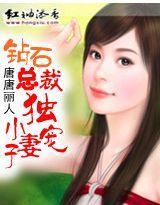 钻石总裁独宠小妻子