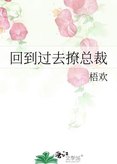 回到过去撩总裁