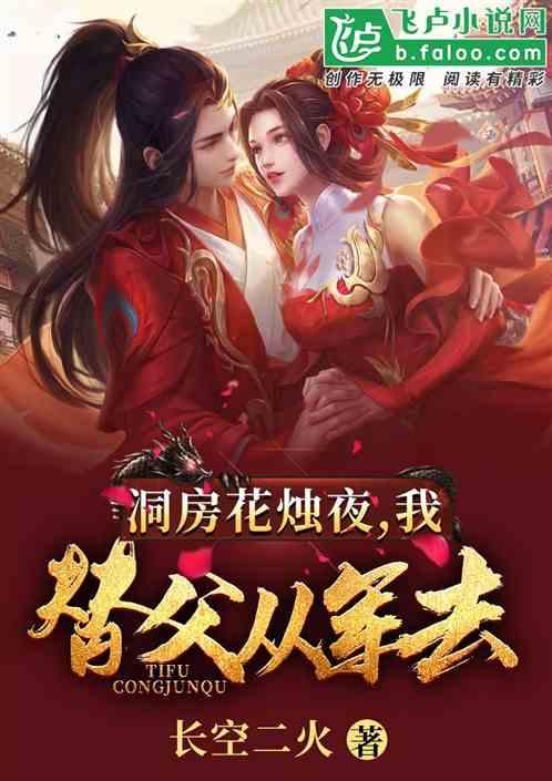 洞房花烛夜,我替父从军去