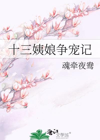 十三姨娘争宠记