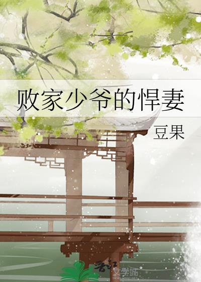 败家少爷的悍妻