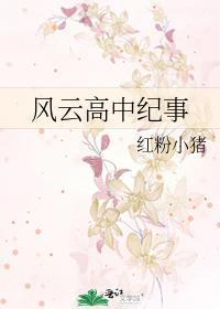 风云高中纪事