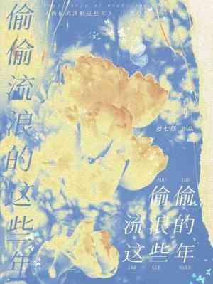 偷偷流浪的这些年