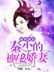 暖婚独宠:秦少的神秘娇妻
