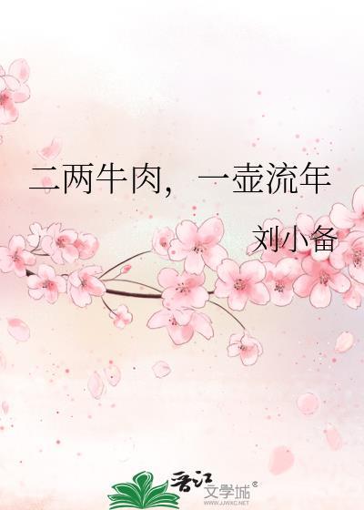 二两牛肉,一壶流年