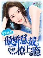 专宠蜜爱:傲娇总裁撩上瘾