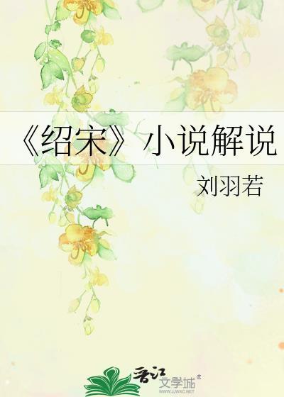 《绍宋》小说解说