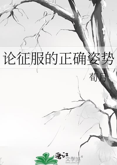 论征服的正确姿势