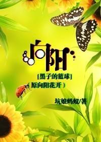 [黑子的篮球]向阳（原向阳花开）