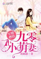 军婚燃情:九零小萌妻