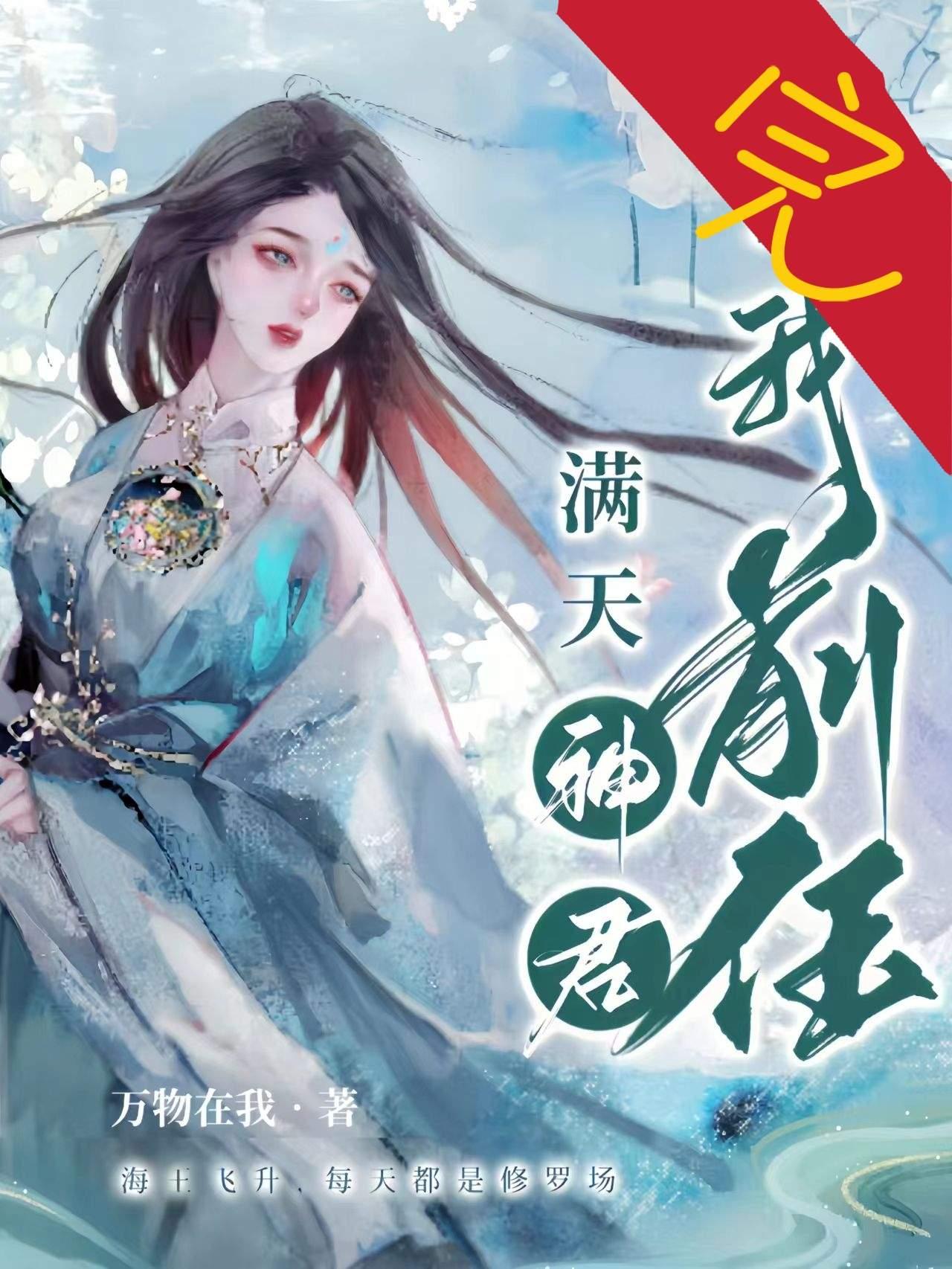 满天神君,皆我前任