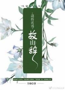 洛桥遥遥故山辞